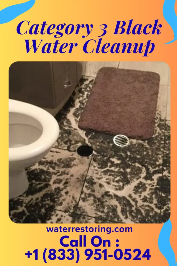 Category 3 Black Water Cleanup in Kittitas, WA